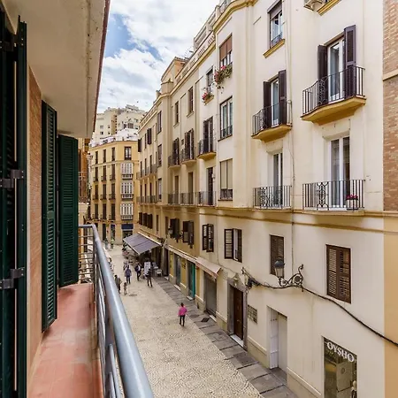Vistas Panoramicas Calle Larios Apartment